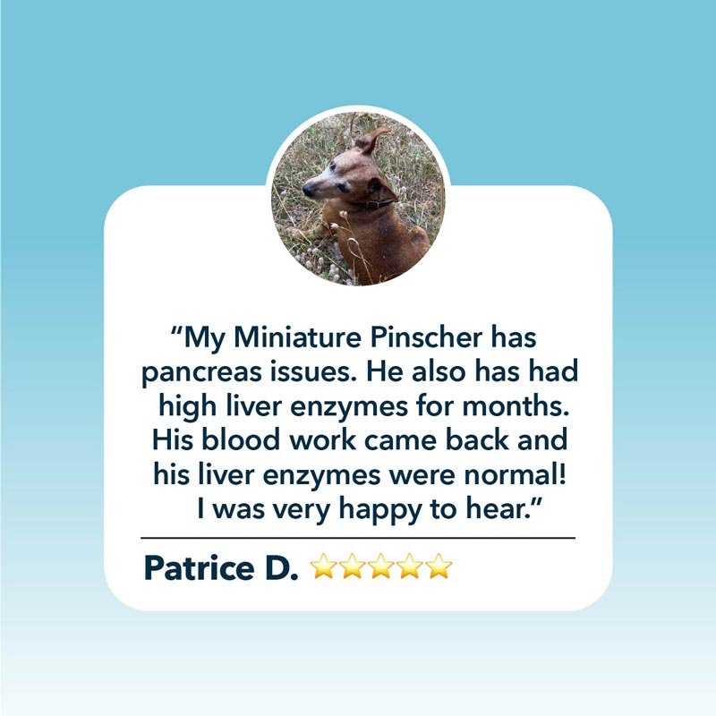 Four Leaf Rover Liver / Kidney Clean - CreatureLand