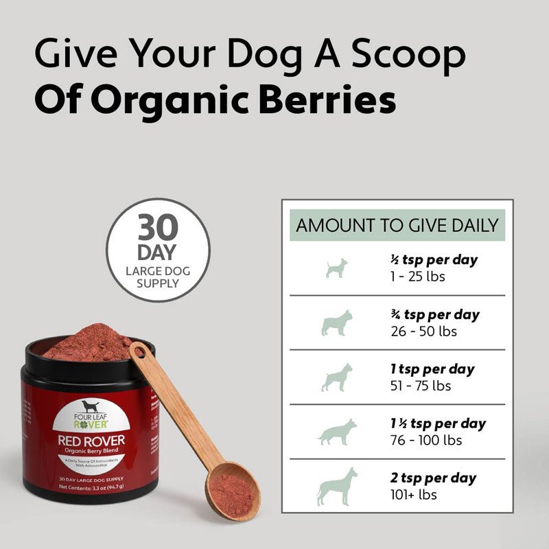 Four Leaf Rover Red Rover - Organic Berries For Dogs - CreatureLand