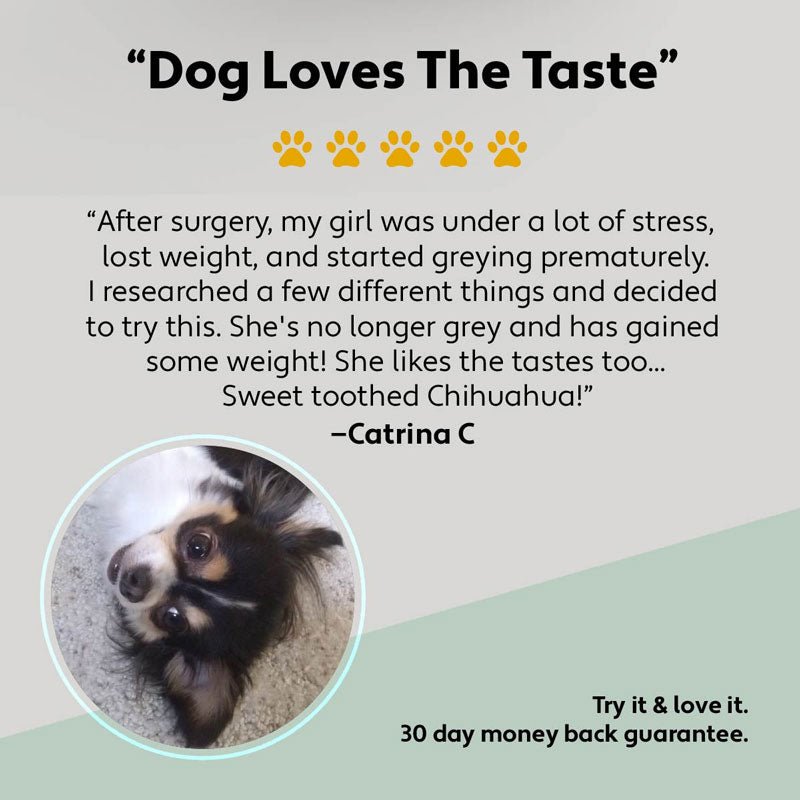 Four Leaf Rover Red Rover - Organic Berries For Dogs - CreatureLand