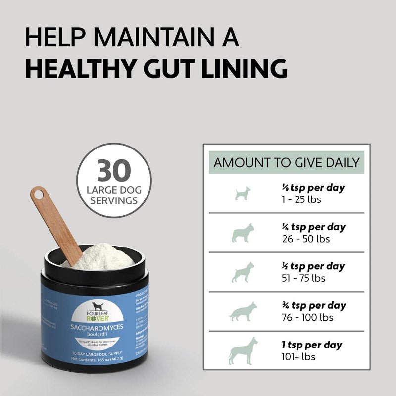 Four Leaf Rover Saccharomyces Boulardii - Yeast-Based Probiotics For Dogs - CreatureLand