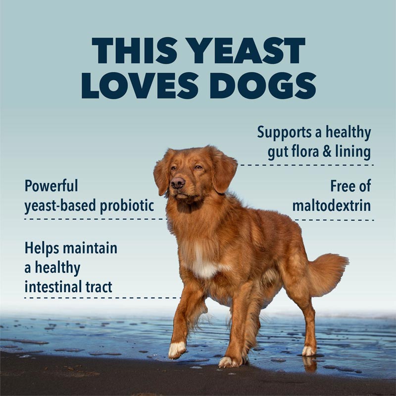 Four Leaf Rover Saccharomyces Boulardii - Yeast-Based Probiotics For Dogs - CreatureLand