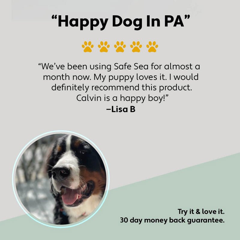 Four Leaf Rover Safe-Sea - Green Lipped Mussel Oil For Dogs - CreatureLand