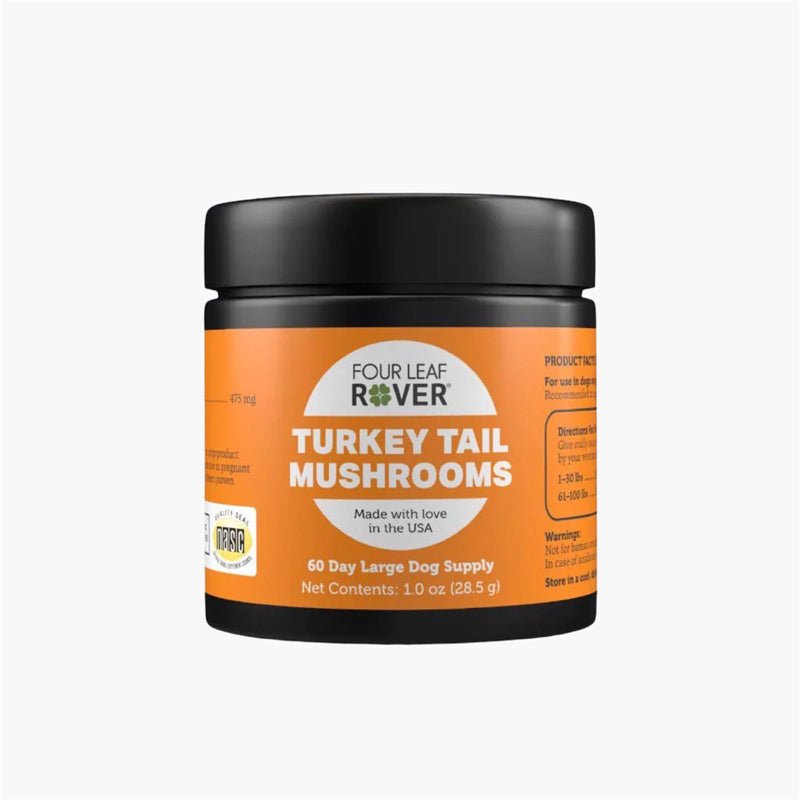 Four Leaf Rover Turkey Tail Mushroom - Boost Immune System - CreatureLand