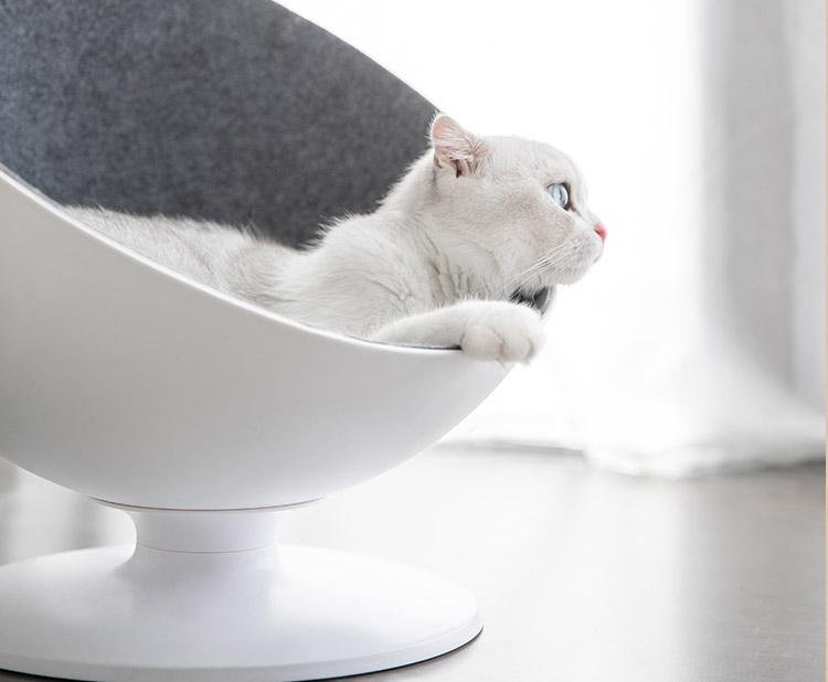 Furrytail Boss Cat Bed - CreatureLand