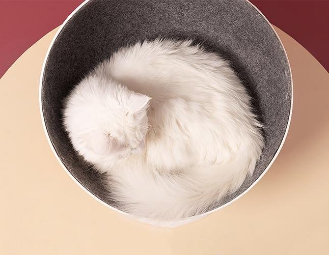 Furrytail Boss Cat Bed - CreatureLand
