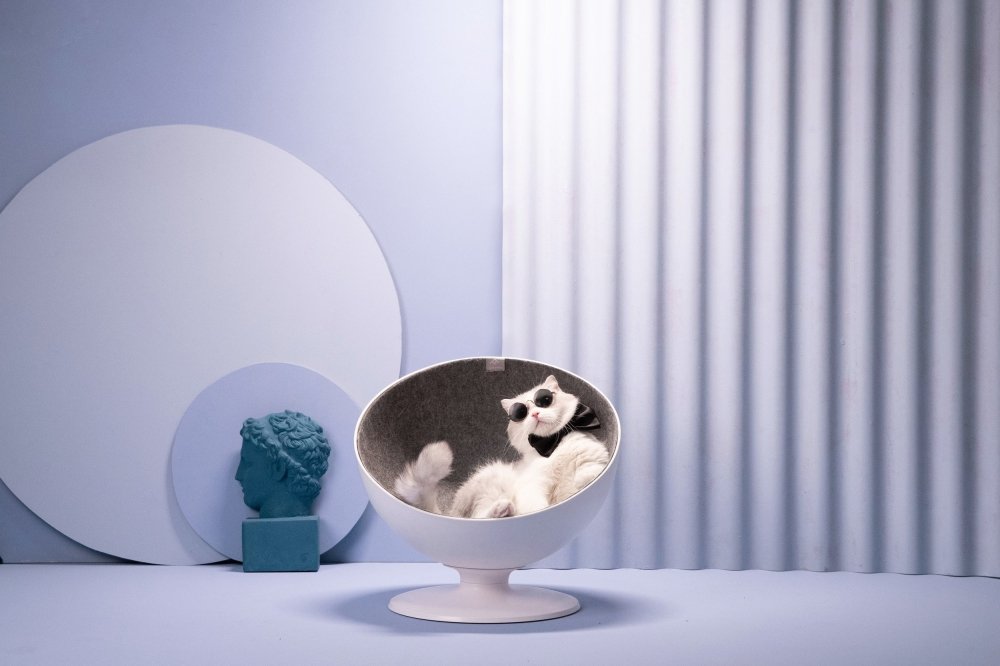 Furrytail Boss Cat Bed - CreatureLand