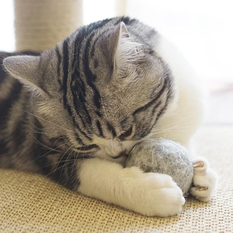 Furrytail Catnip Wool Ball - CreatureLand