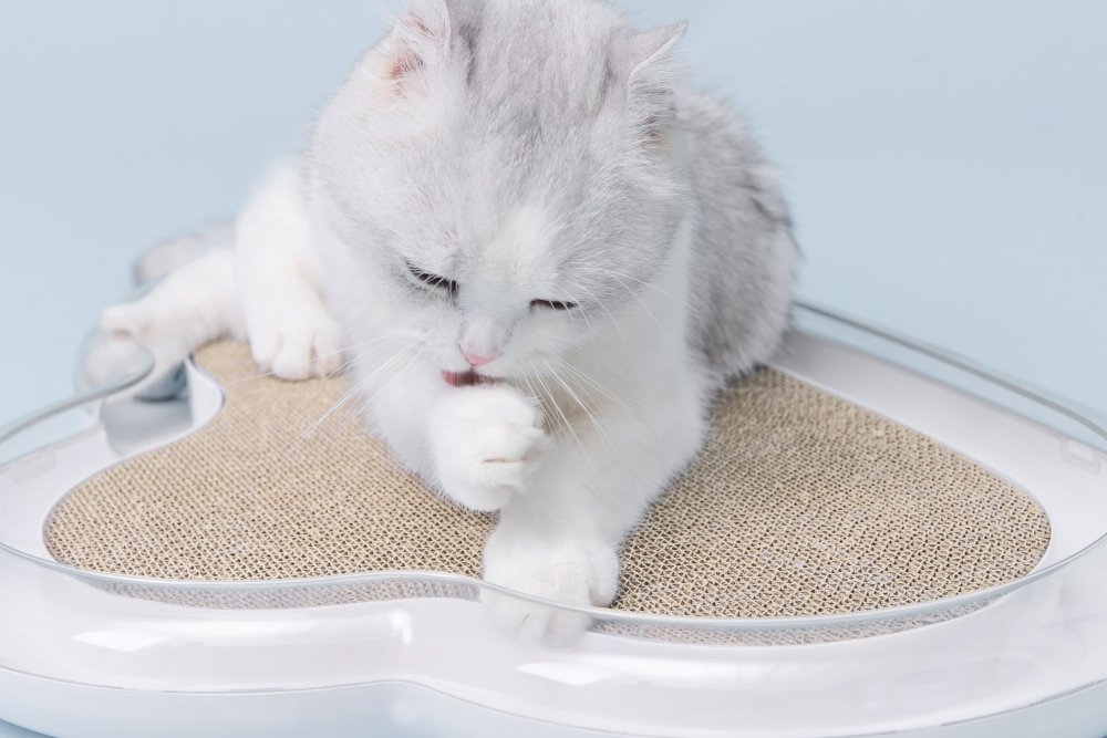 Furrytail Cloud Scratcher - CreatureLand