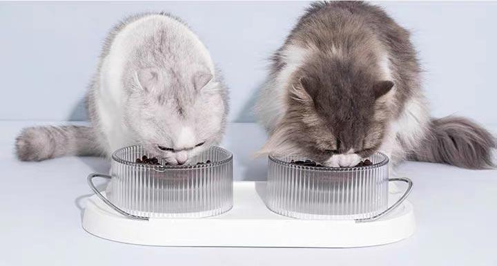 Furrytail Doubowl Pet Food Bowls (2 Colours) - CreatureLand