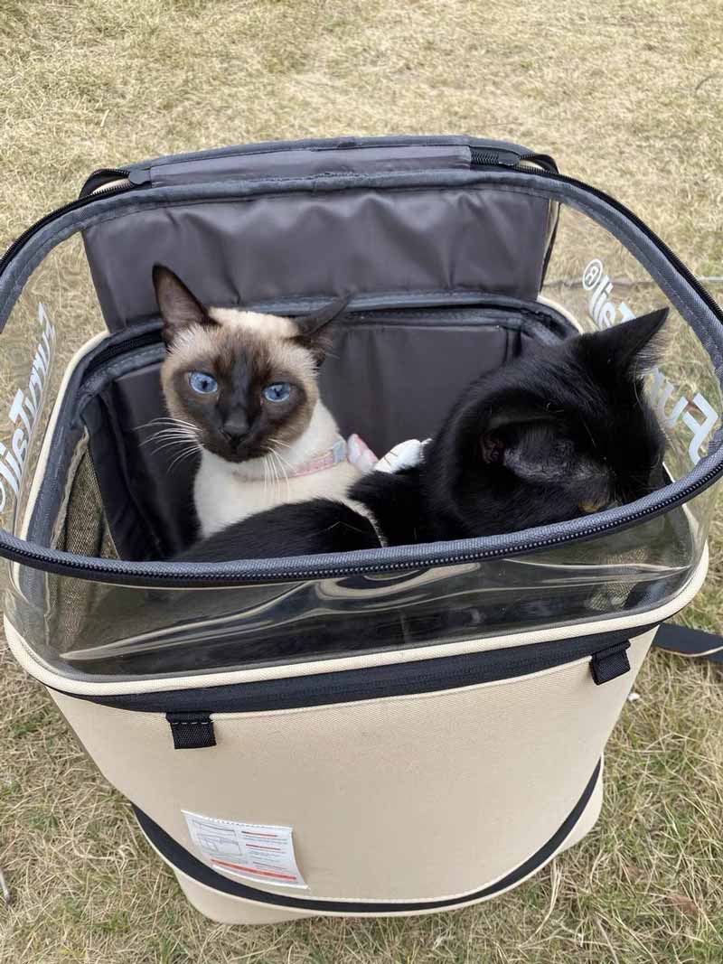 Furrytail Navigator Backpack Carrier - CreatureLand