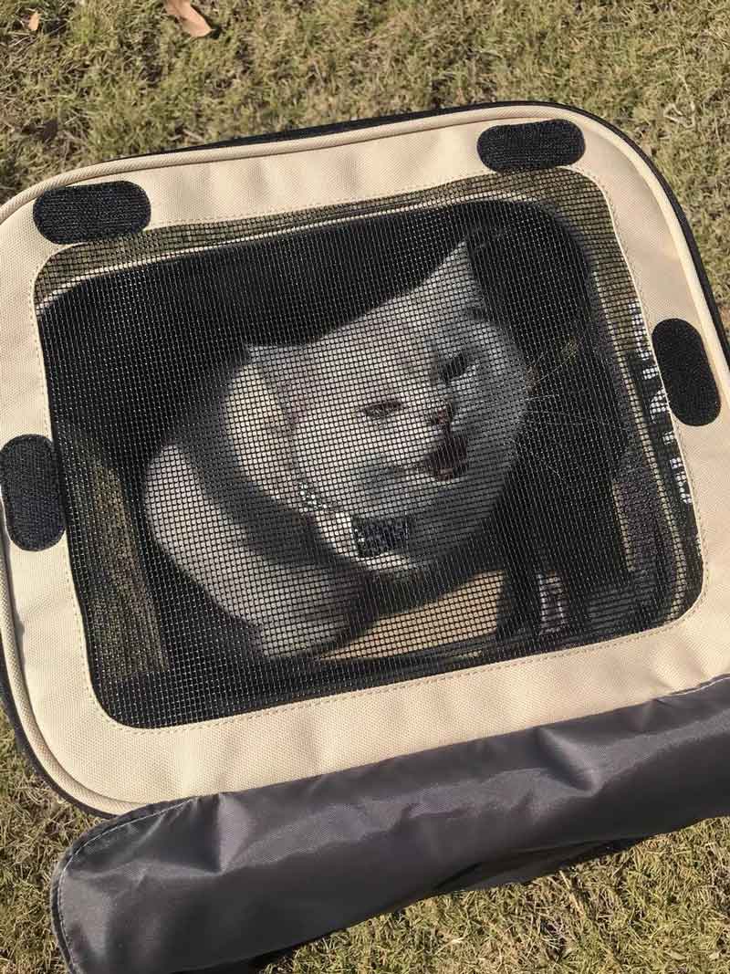 Furrytail Navigator Backpack Carrier - CreatureLand