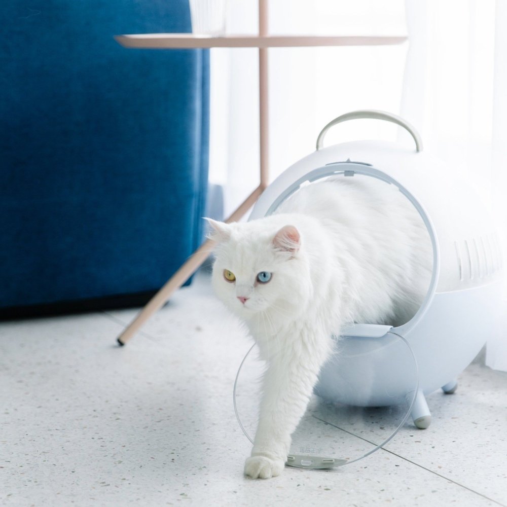 Furrytail Pet Moving Castle - CreatureLand