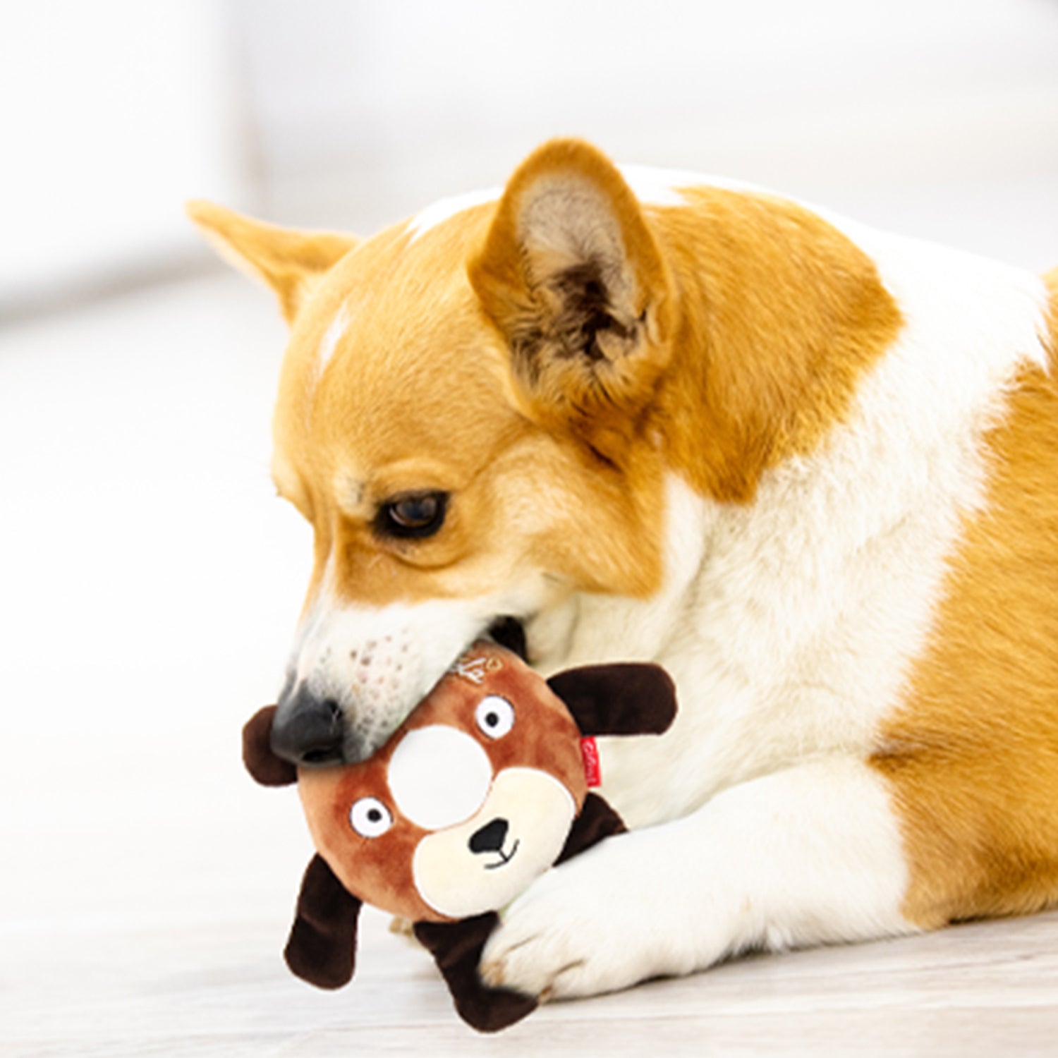 Gigwi Pet Plush Friendz Ring Dog Toy - Bear - CreatureLand