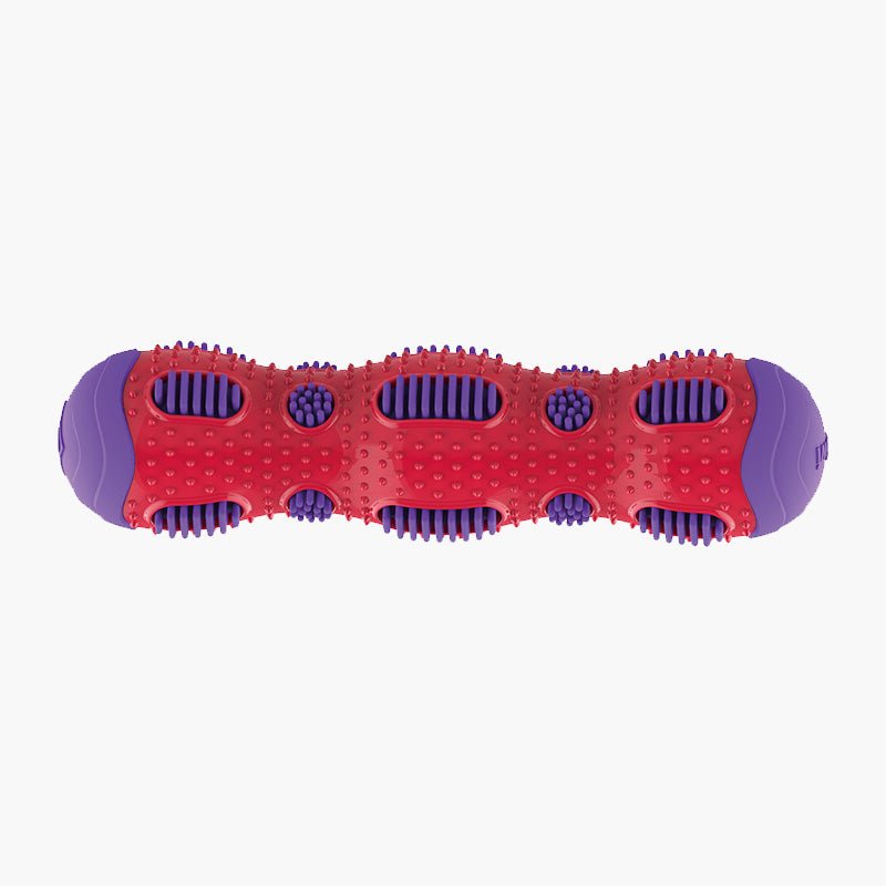 Gigwi Pet Toothbrush Stick Rubber Dog Toy - CreatureLand