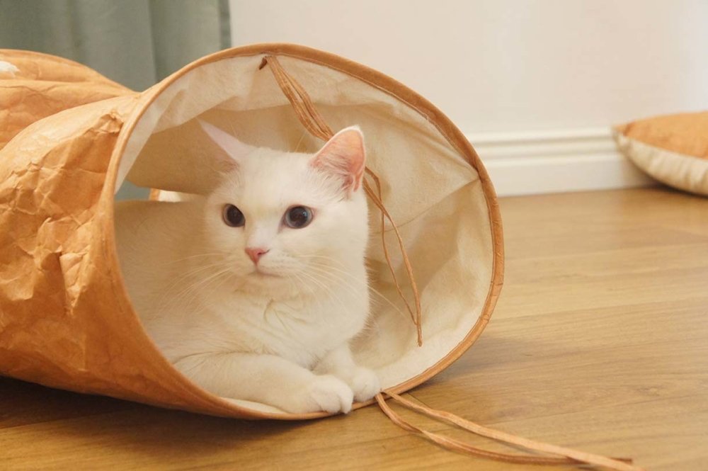 Gotta Go Home Tyvek® Cat Tunnel - CreatureLand