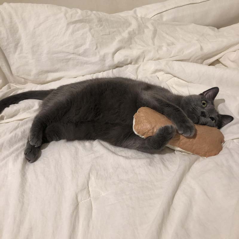 Gotta Go Home Tyvek® Catnip Bread Cushion - CreatureLand