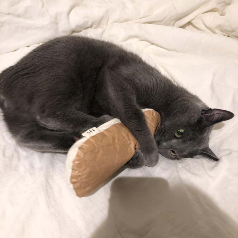 Gotta Go Home Tyvek® Catnip Bread Cushion - CreatureLand