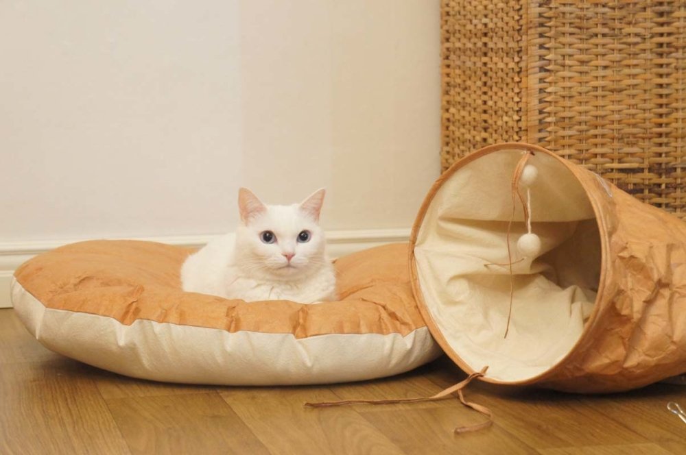 Gotta Go Home Tyvek® Pet Bed - Round - CreatureLand