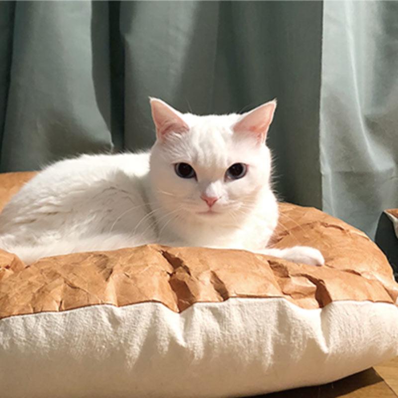 Gotta Go Home Tyvek® Pet Bed - Round - CreatureLand