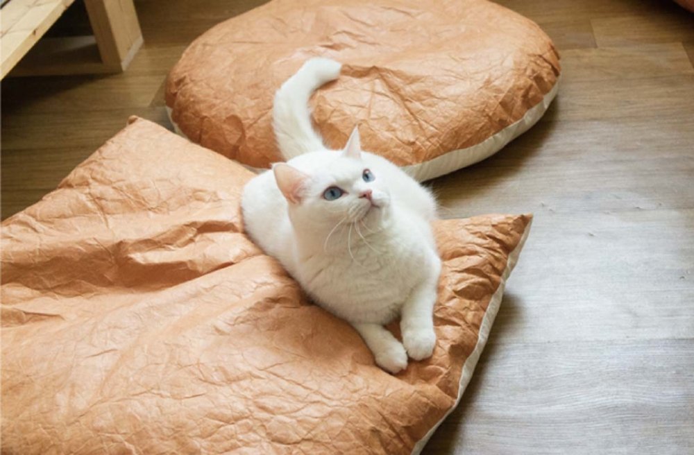Gotta Go Home Tyvek® Pet Bed - Square - CreatureLand