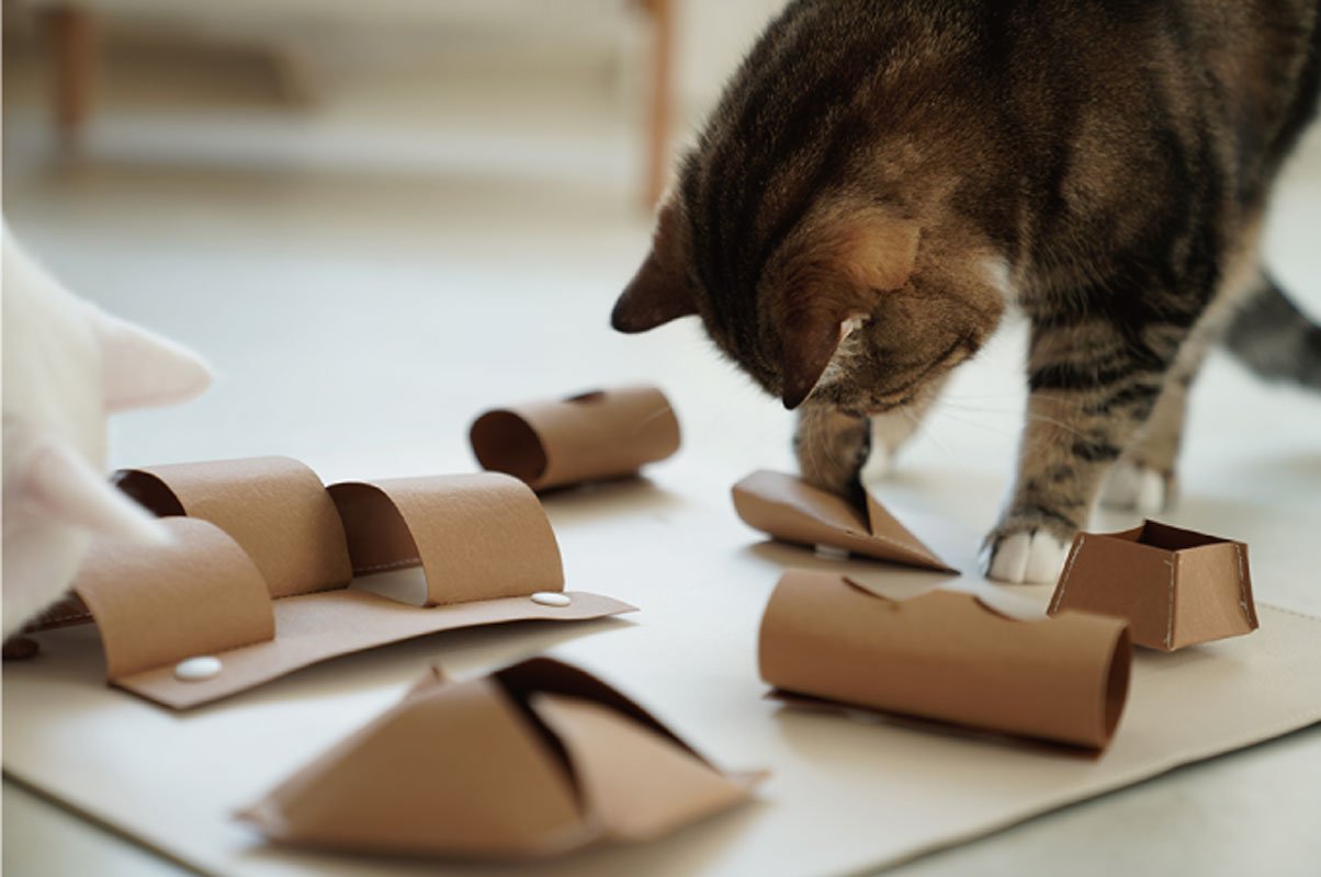Gotta Go Home Vegan Leather Cat Puzzle Mat ( Cat-Ch ) - Large - CreatureLand