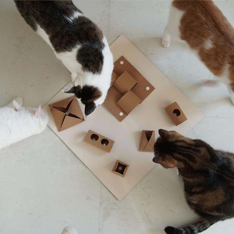 Gotta Go Home Vegan Leather Cat Puzzle Mat ( Cat-Ch ) - Large - CreatureLand