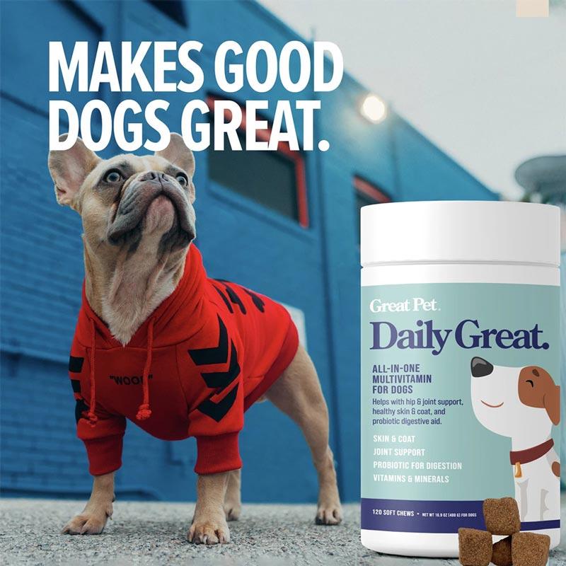 Great Pet® Daily Great All-In-One Multivitamin - 120 Chews - CreatureLand