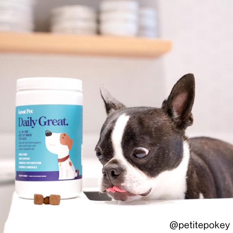 Great Pet® Daily Great All-In-One Multivitamin - 120 Chews - CreatureLand