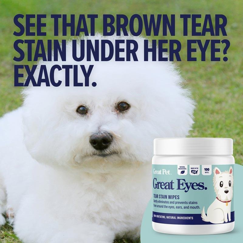 Great Pet® Great Eyes Tear Stain Wipes - 100 wipes - CreatureLand