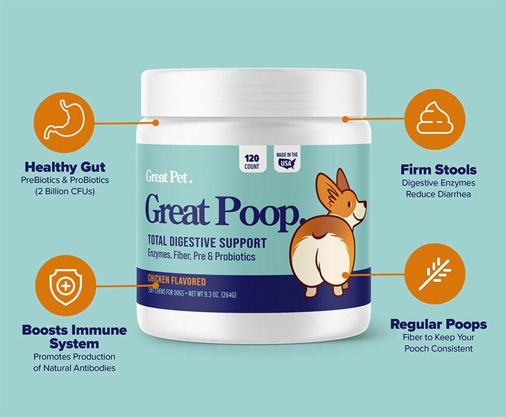 Great Pet® Great Poop Digestive Support Dog Supplement - 120 Chews - CreatureLand