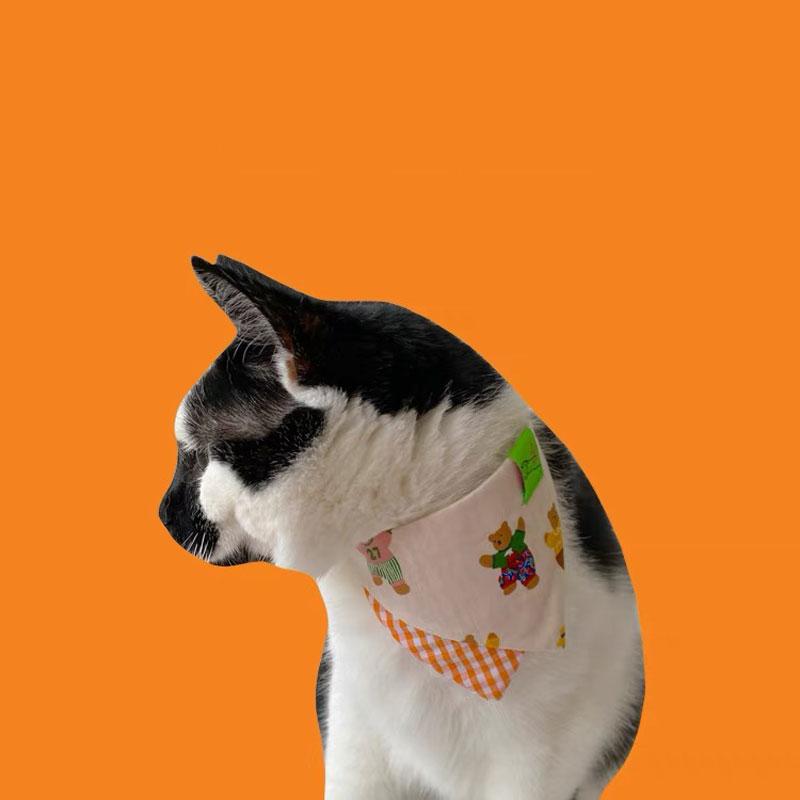 Gulu Dancing Bear Pet Bib - CreatureLand