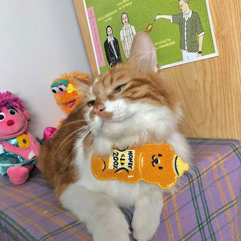 Gulu Honey Bear Pet Bib - CreatureLand