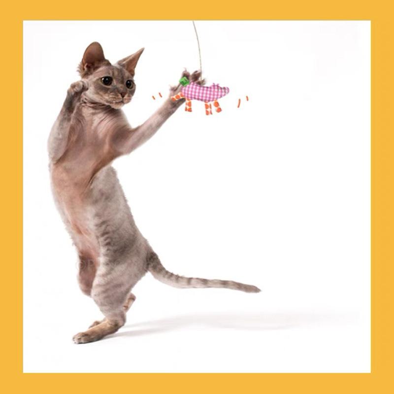 Gulu Piggy Cat Teaser Toy (2 Options) - CreatureLand