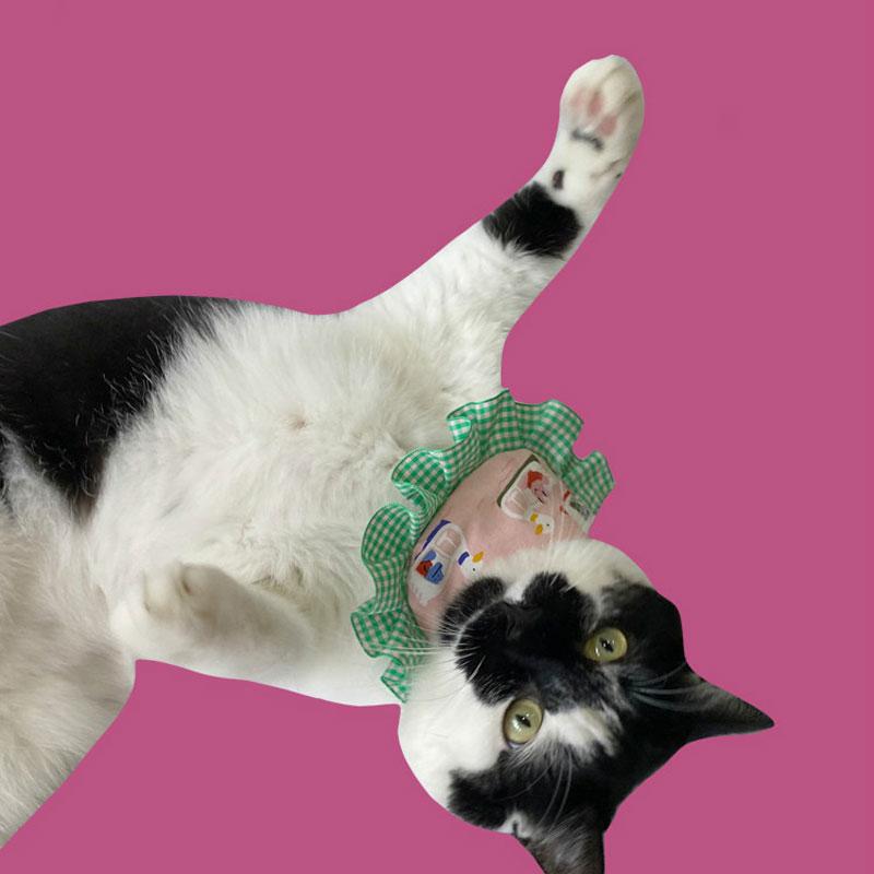 Gulu Swan Boat Ruffle Pet Bib - CreatureLand