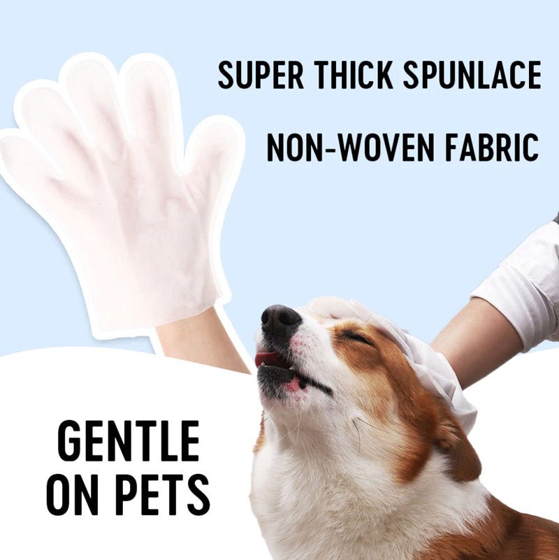 Honeycare Pet SPA Cleansing Glove - CreatureLand