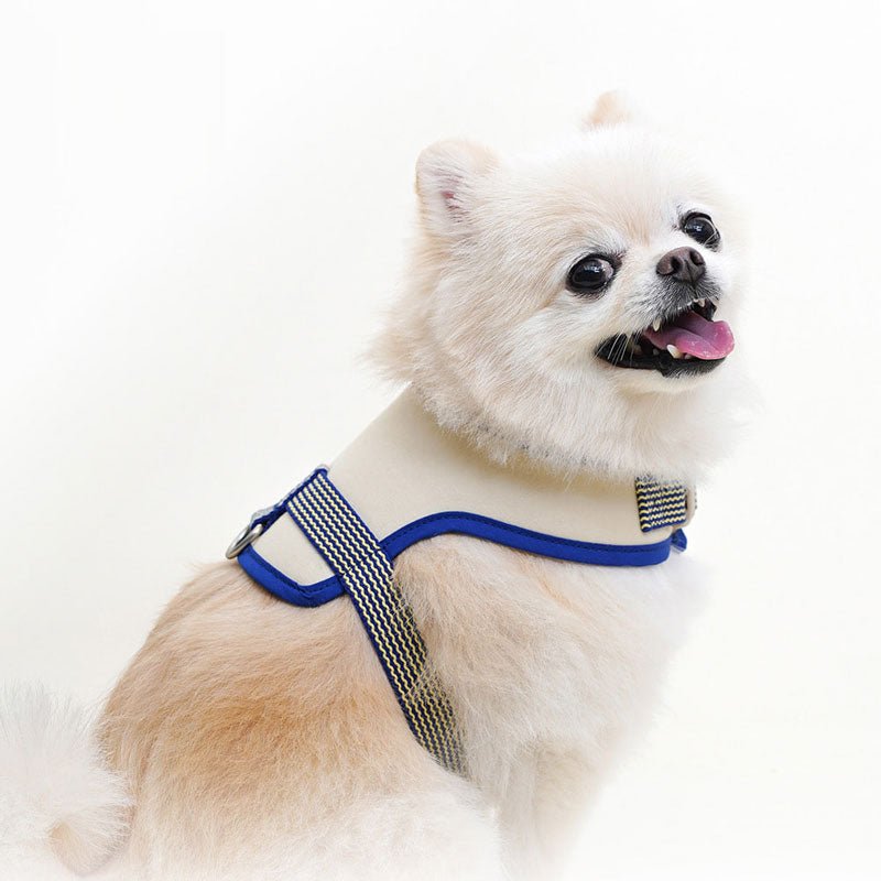 Howlpot Howlgo Basic Wear Harness - Blue - CreatureLand