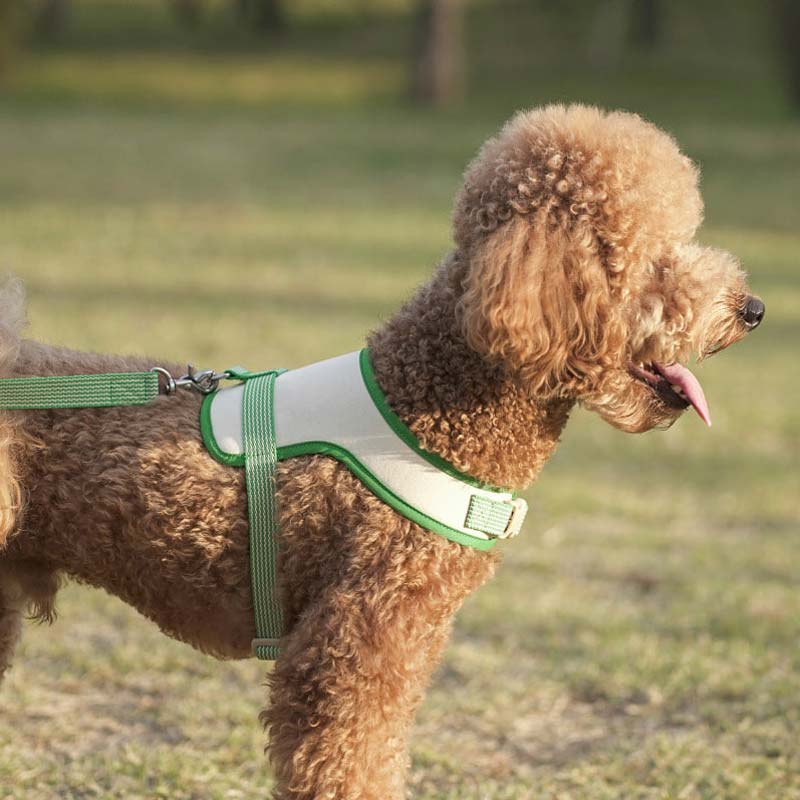 Howlpot Howlgo Basic Wear Harness - Green - CreatureLand