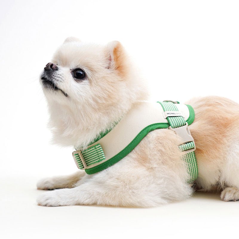 Howlpot Howlgo Basic Wear Harness - Green - CreatureLand