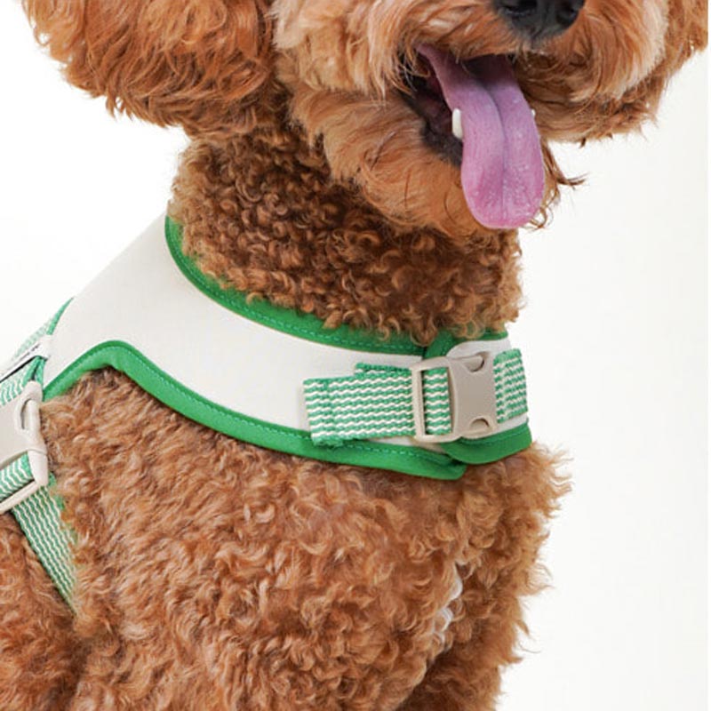 Howlpot Howlgo Basic Wear Harness - Green - CreatureLand