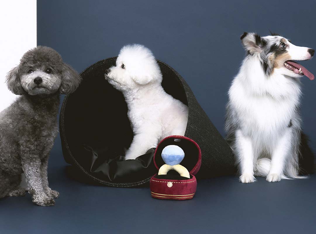 Howlpot HOWLPOT x BOONTHESHOP: Diamond Ring Nose Work Dog Toy (Limited Edition) - CreatureLand