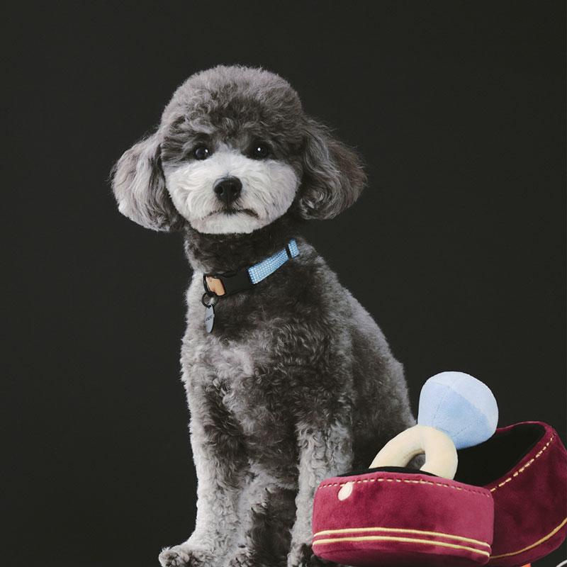 Howlpot HOWLPOT x BOONTHESHOP: Diamond Ring Nose Work Dog Toy (Limited Edition) - CreatureLand