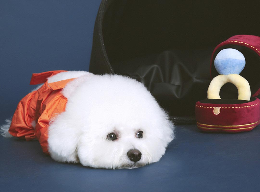 Howlpot HOWLPOT x BOONTHESHOP: Diamond Ring Nose Work Dog Toy (Limited Edition) - CreatureLand