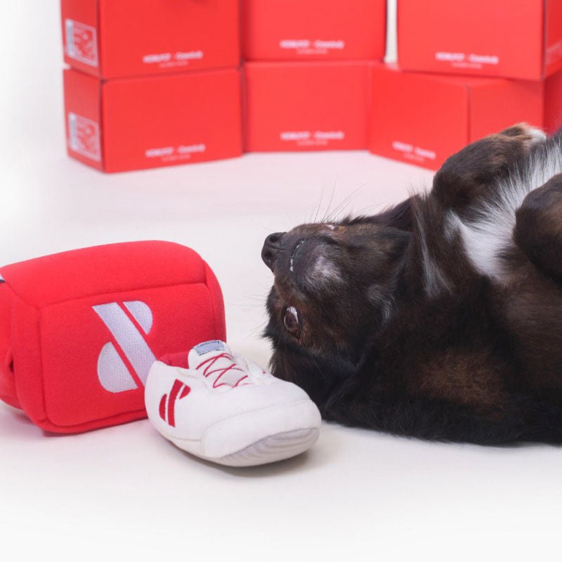 Howlpot HOWLPOT x Casestudy: Shoe Box Nose Work Dog Toy (Limited Edition) - CreatureLand