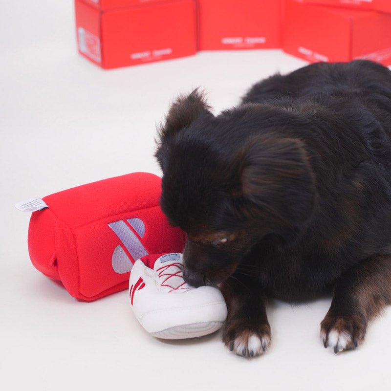 Howlpot HOWLPOT x Casestudy: Shoe Box Nose Work Dog Toy (Limited Edition) - CreatureLand