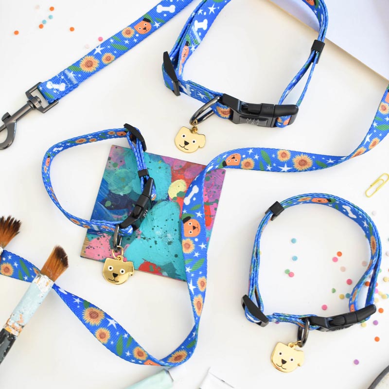 Howlpot Vincent Van Dog Artist Dog Collar & Leash - CreatureLand