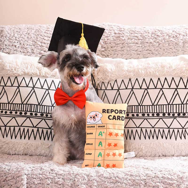 HugSmart Bark to school – Report Card Dog Toy - CreatureLand