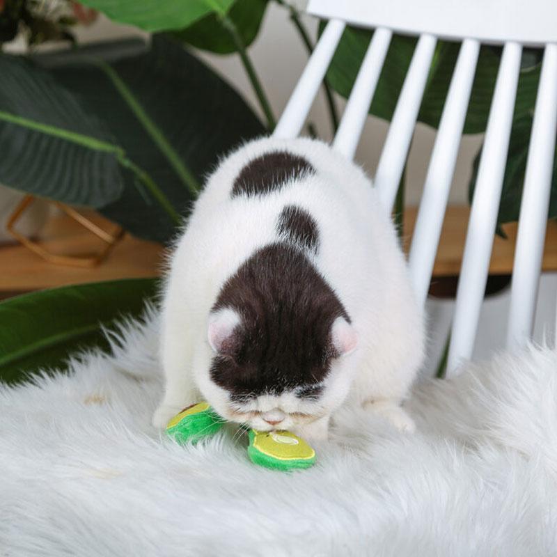 HugSmart Crazy Catcher – Avocado Catnip Toy - CreatureLand