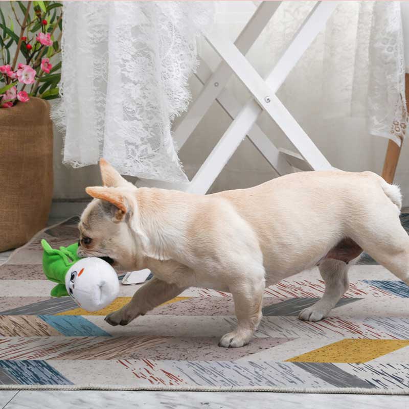 HugSmart Feisty Veggie – Bok Choy Dog Toy - CreatureLand
