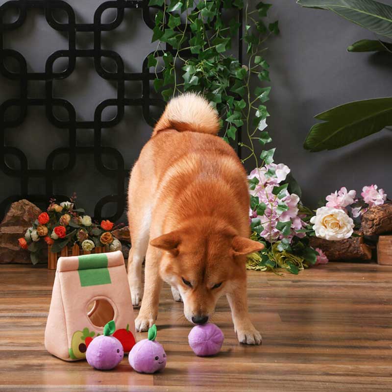 HugSmart Go Market – Grocery Bag Puzzle Hunting Toy - CreatureLand