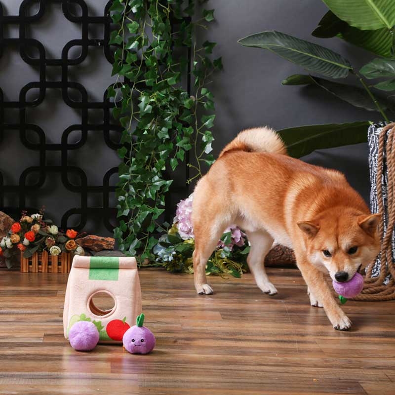 HugSmart Go Market – Grocery Bag Puzzle Hunting Toy - CreatureLand